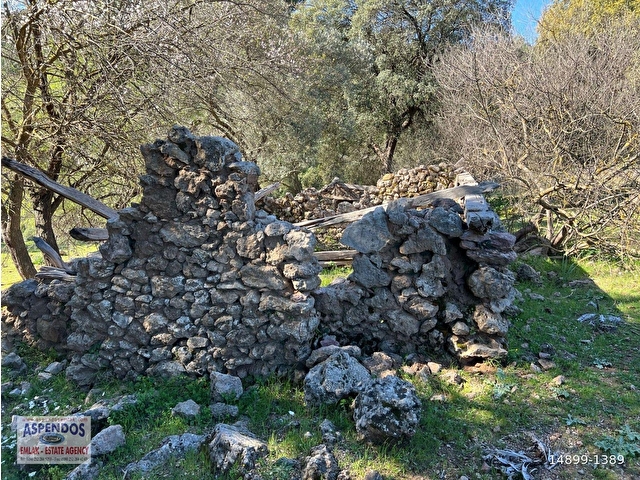 Gökbelde Doğa Ve Orman İçerisinde Satılık Tarla - Görsel 3