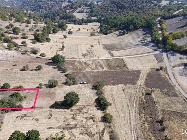 BALIKESİR BİGADİNÇ TURFULLAR 2 DÖNÜM TEK TAPU FIRSAT TARLA - Görsel 7