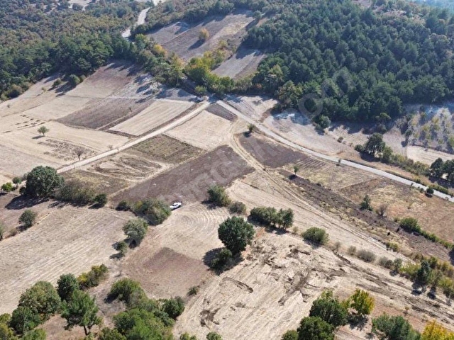 BALIKESİR BİGADİNÇ TURFULLAR 2 DÖNÜM TEK TAPU FIRSAT TARLA - Görsel 9