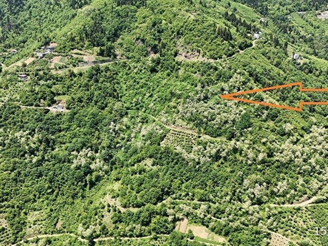 TRABZON MAÇKA KAYNARCADA İNANILMAZ DOĞA MANZARALI ARSALAR - Görsel 8