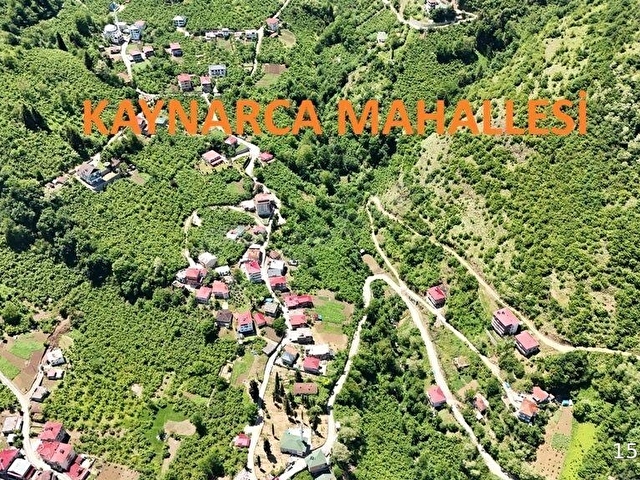 TRABZON MAÇKA KAYNARCADA İNANILMAZ DOĞA MANZARALI ARSALAR - Görsel 11