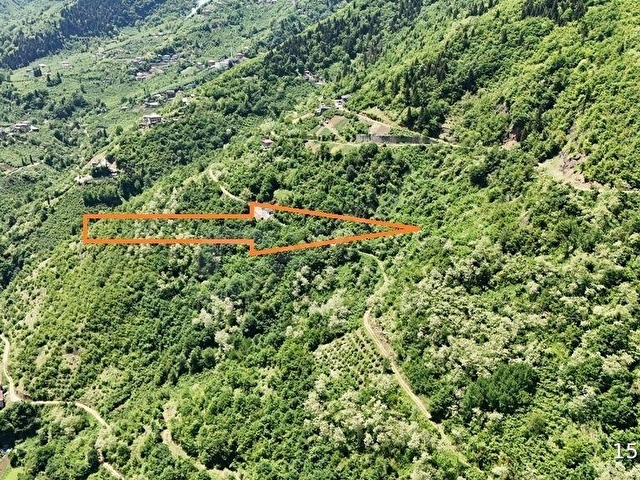 TRABZON MAÇKA KAYNARCADA İNANILMAZ DOĞA MANZARALI ARSALAR - Görsel 7