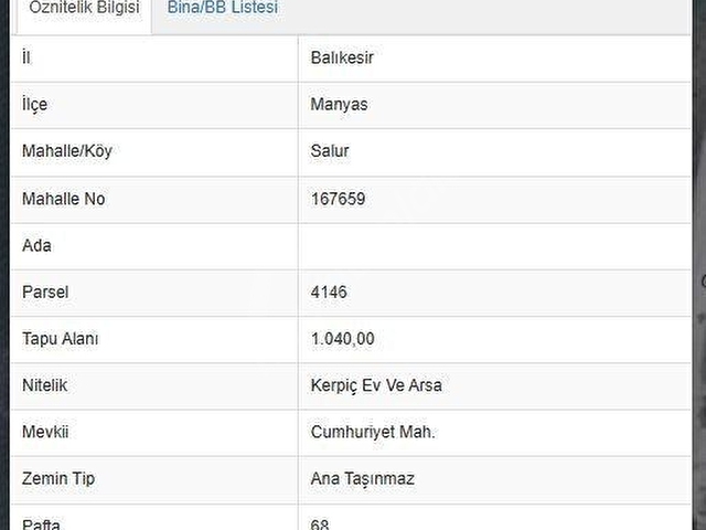 BALIKESİR MANYAS SALUR SANAYİ İMARLI ARSA 1000M² FIRSAT KÖŞE - Görsel 9