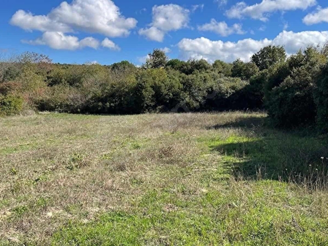 PRESTİJ GAYRİMENKUL DEN YUKURAYAPICIDA 2.685 m2 TARLA - Görsel 5