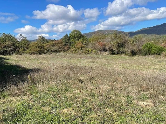 PRESTİJ GAYRİMENKUL DEN YUKURAYAPICIDA 2.685 m2 TARLA - Görsel 11