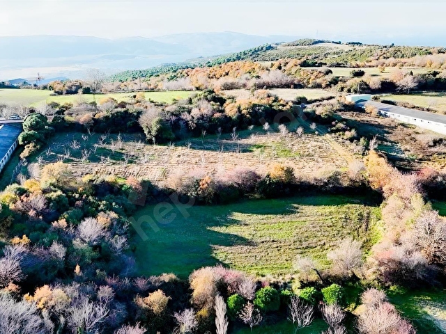 PRESTİJ GAYRİMENKUL DEN YUKURAYAPICIDA 2.685 m2 TARLA