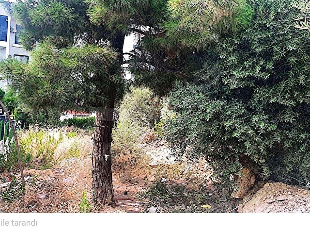 KUŞADASI EGE MAHALLESİNDE SATILIK ARSA - Görsel 5