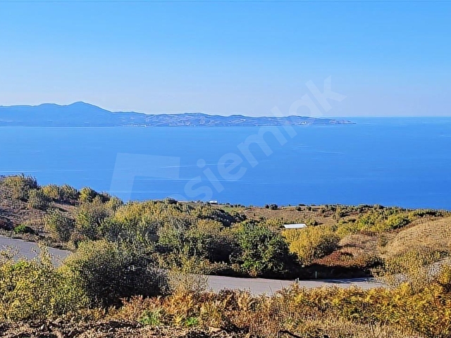 Bandırma Sahiyenice de Full Deniz Manzaralı Satılık Arazi - Görsel 8