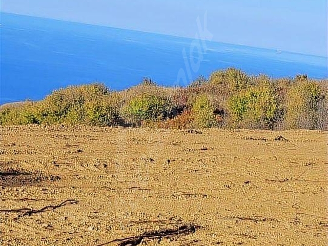 Bandırma Sahiyenice de Full Deniz Manzaralı Satılık Arazi - Görsel 14