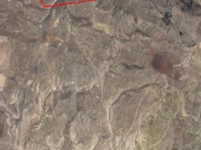 AFYONKARAHİSAR HALIMORUDA SATILIK TEK TAPU TARLA - Görsel 3