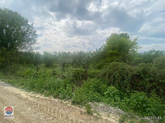 İMAR SINIRINA YAKIN FINDIK 4941 m2 FINDIK BAHÇES, - Görsel 6