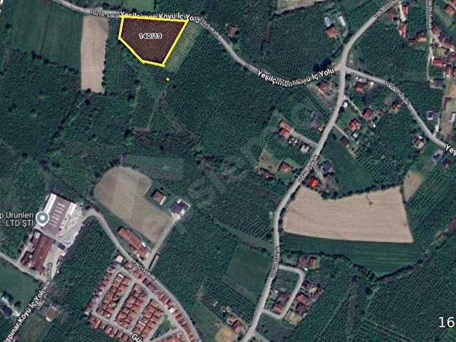 İMAR SINIRINA YAKIN FINDIK 4941 m2 FINDIK BAHÇES, - Görsel 4