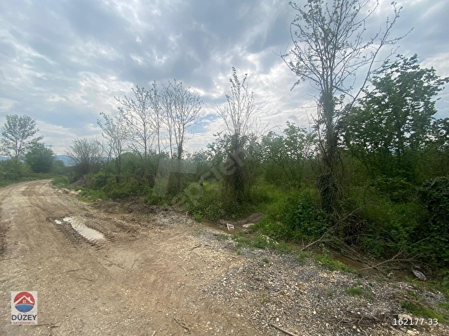 İMAR SINIRINA YAKIN FINDIK 4941 m2 FINDIK BAHÇES, - Görsel 9
