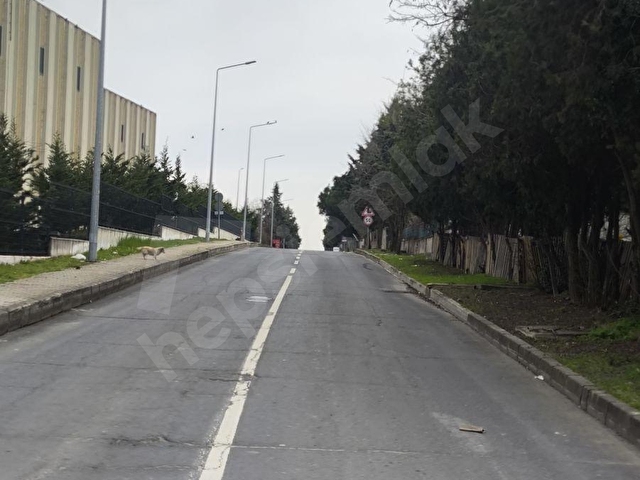 ÇERKEZKÖY KAPAKLI OSB 1 SOKAK KİRALİK FABRİKA ÜRETİM VE DEPOLAMA - Görsel 23