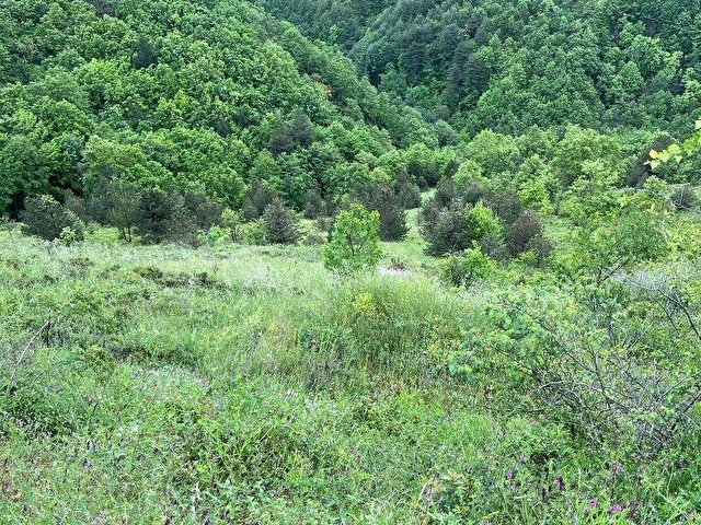 Senaiye Mahallesinde %5 İmarlı Tarla - Görsel 6