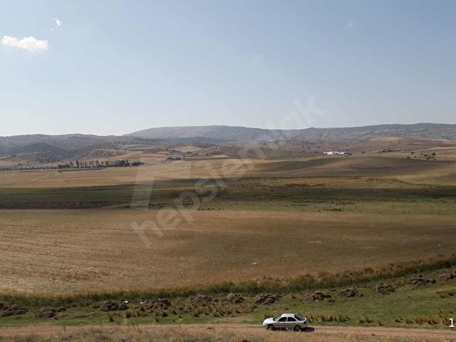 ANKARA ELMADAĞ KUŞCUALİ DE SATILIK TARLA - Görsel 3