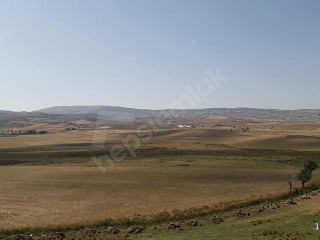 ANKARA ELMADAĞ KUŞCUALİ DE SATILIK TARLA - Görsel 8