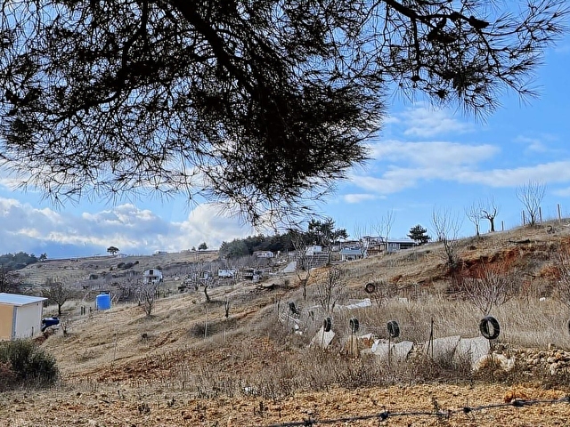 Kemalpaşa Damlacık Satılık Tarla. - Görsel 7