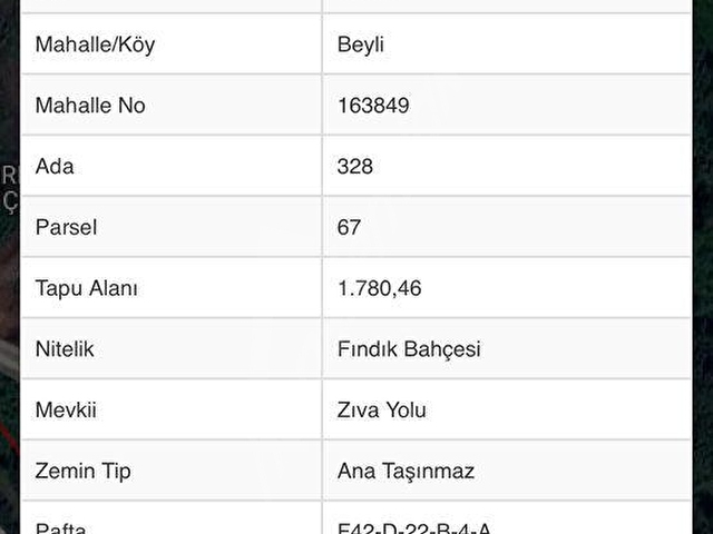 GİRESUN GÖRELE ÇAVUŞLU DA SATILIK BAHÇE