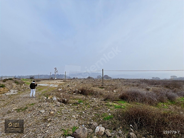 ASFALTA CEPHE ORGANİZEYE 300 METRE MESAFEDE FIRSAT ARAZİ - Görsel 9