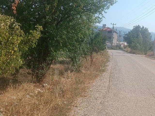 sahibinden satılık 9 dönüm elma armut bahçesi - Görsel 18