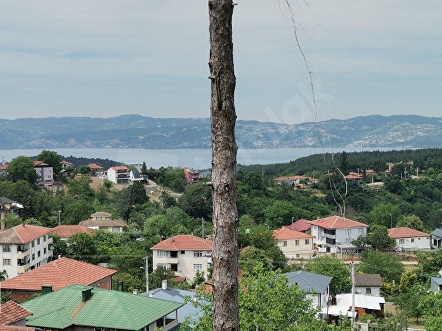 SAKARYA SAPANCA HACIMERCANDA SATILIK 2980 M2  ARSA - Görsel 8