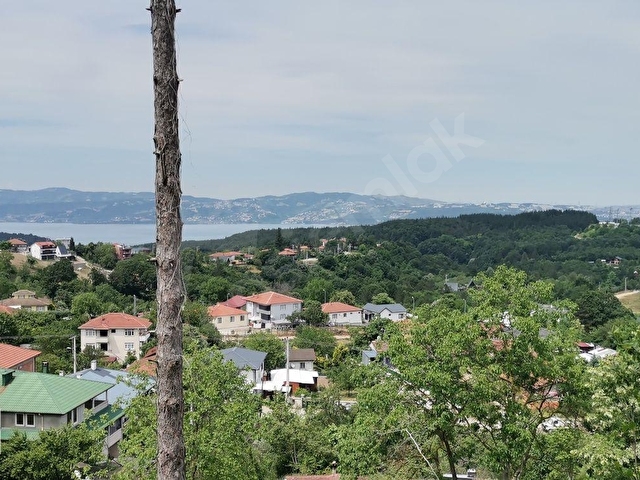 SAKARYA SAPANCA HACIMERCANDA SATILIK 2980 M2  ARSA - Görsel 4