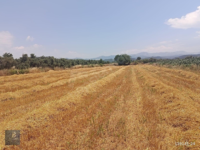 MUĞLA YATAĞANDA FIRSAT ARAZİ