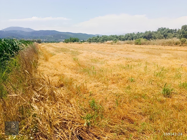 MUĞLA YATAĞANDA FIRSAT ARAZİ - Görsel 4