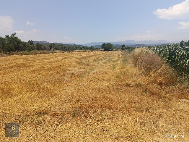 MUĞLA YATAĞANDA FIRSAT ARAZİ - Görsel 6