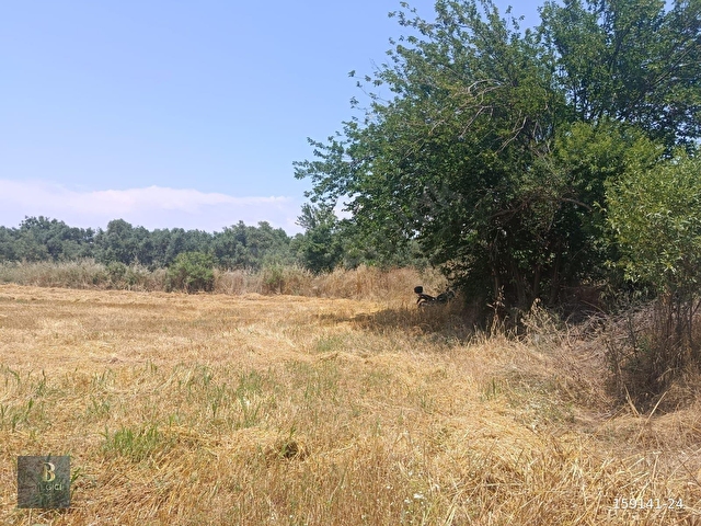 MUĞLA YATAĞANDA FIRSAT ARAZİ - Görsel 5