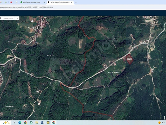 ASAR KÖYÜNDE SATILIK 10135 M2 FINDIK BAHÇESİ