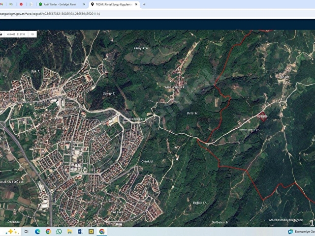 ASAR KÖYÜNDE SATILIK 10135 M2 FINDIK BAHÇESİ - Görsel 2
