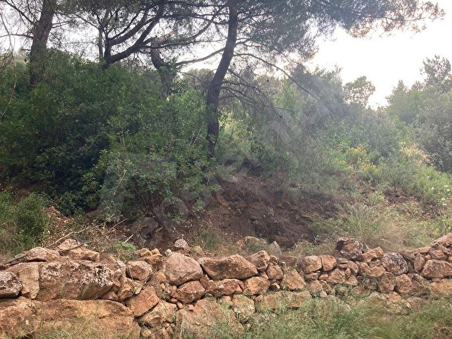 Torbali karakızlarda satılık zeytinlik - Görsel 26
