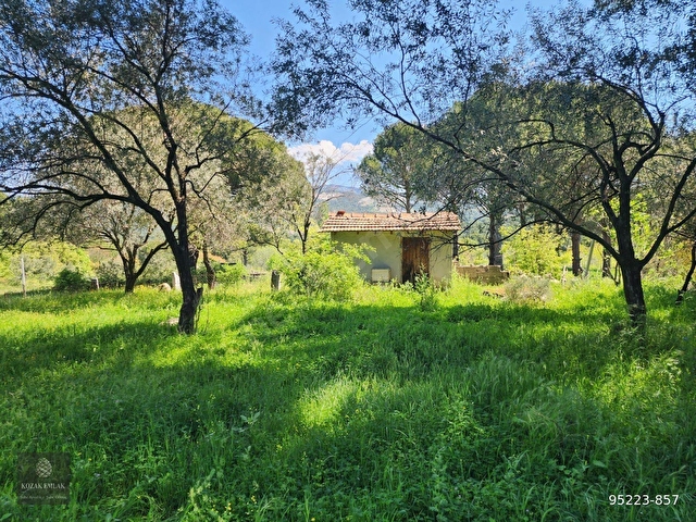 Bergama Kozak Okçular Bahçe Satılık