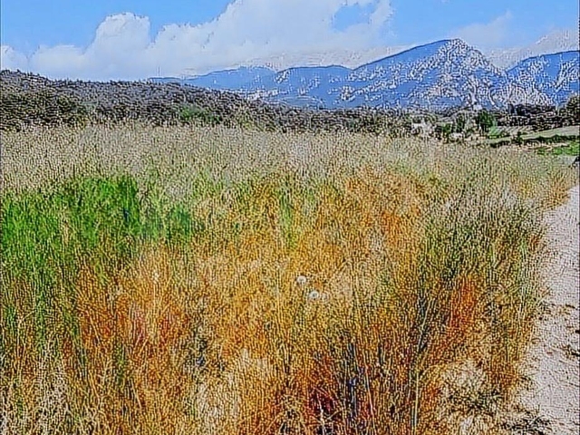 SEYDİKEMER YAKADA 12451M2 KADOSTRAL YOLU OLAN SATILIK TARLA - Görsel 2