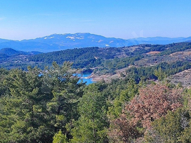 MUĞLA MENTEŞE BAYIR 11.139 M2 SATILIK TARIM ARAZİSİ - Görsel 13