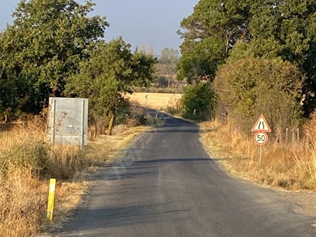 T.DAĞ/SÜLEYMANPAŞA/BANARLI EDİRNE ASFALTINA 650M/5 DÖNÜM TARLA - Görsel 3
