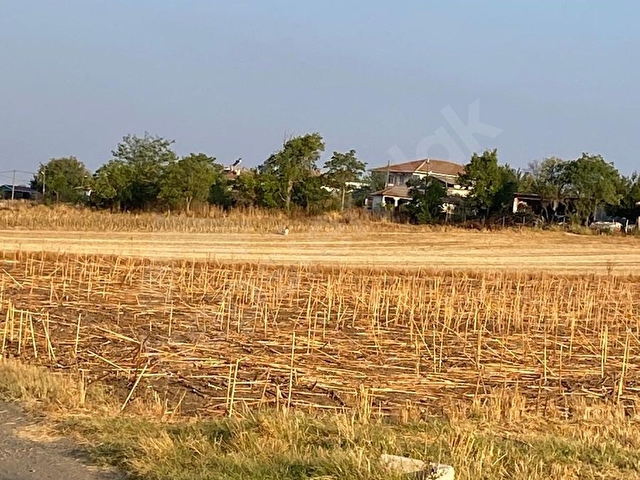 T.DAĞ/SÜLEYMANPAŞA/BANARLI EDİRNE ASFALTINA 650M/5 DÖNÜM TARLA - Görsel 13