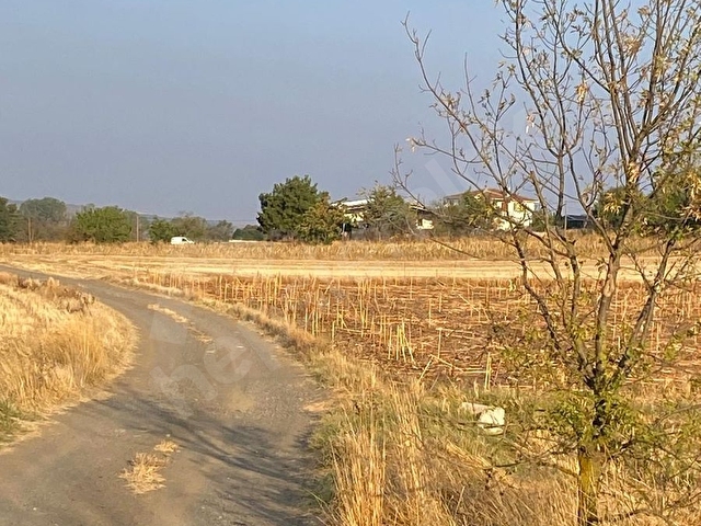 T.DAĞ/SÜLEYMANPAŞA/BANARLI EDİRNE ASFALTINA 650M/5 DÖNÜM TARLA - Görsel 16