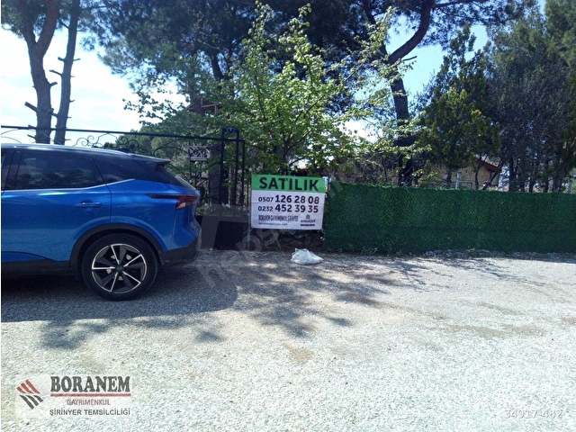 BORANEM--DOĞANCILARDA 3189M2 ZEYTİNLİK İÇİNDE MÜSTAKİL EV - Görsel 2