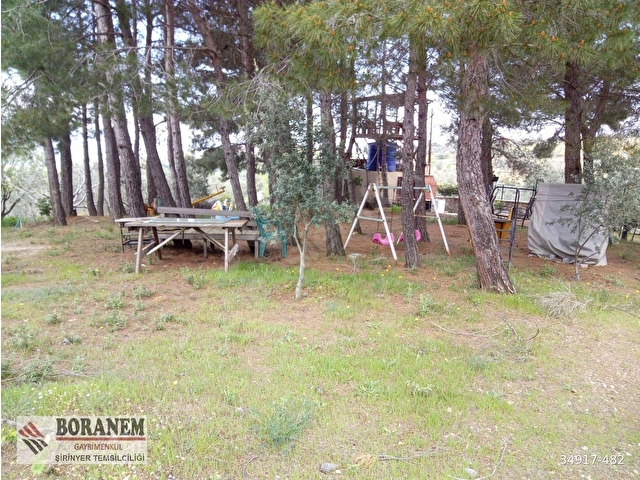 BORANEM--DOĞANCILARDA 3189M2 ZEYTİNLİK İÇİNDE MÜSTAKİL EV - Görsel 24