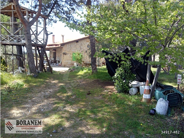 BORANEM--DOĞANCILARDA 3189M2 ZEYTİNLİK İÇİNDE MÜSTAKİL EV - Görsel 3