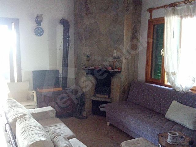 BORANEM--DOĞANCILARDA 3189M2 ZEYTİNLİK İÇİNDE MÜSTAKİL EV - Görsel 9