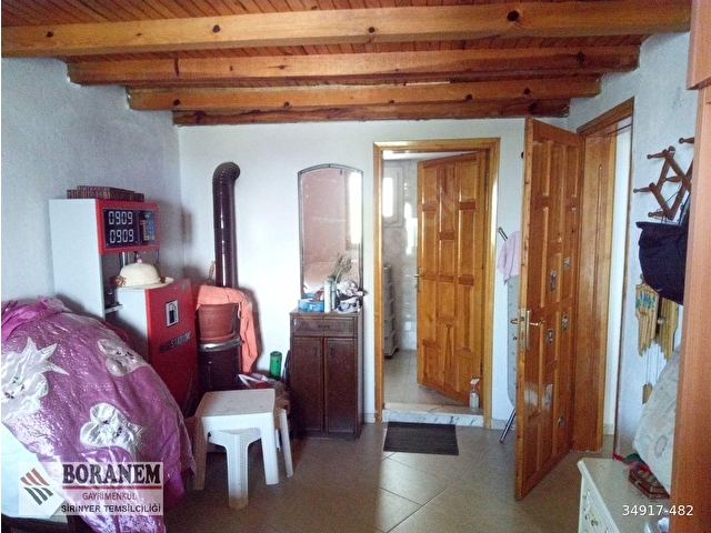BORANEM--DOĞANCILARDA 3189M2 ZEYTİNLİK İÇİNDE MÜSTAKİL EV - Görsel 13