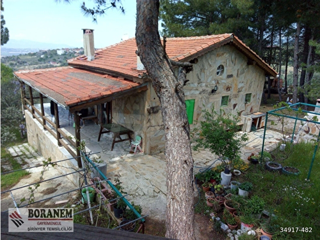 BORANEM--DOĞANCILARDA 3189M2 ZEYTİNLİK İÇİNDE MÜSTAKİL EV