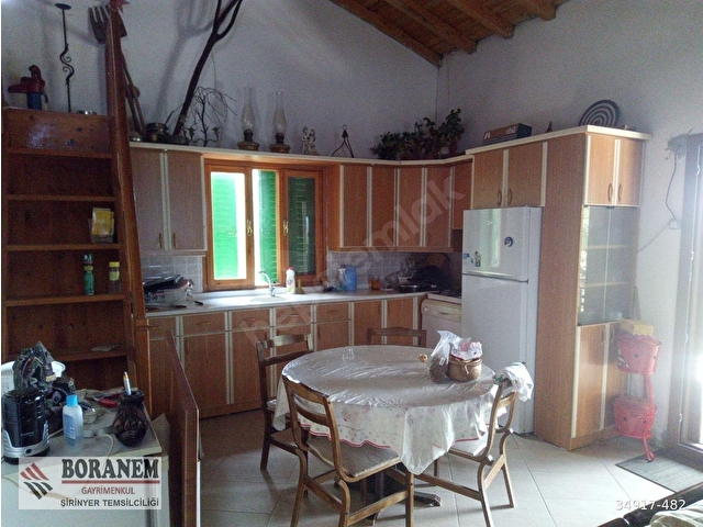 BORANEM--DOĞANCILARDA 3189M2 ZEYTİNLİK İÇİNDE MÜSTAKİL EV - Görsel 8