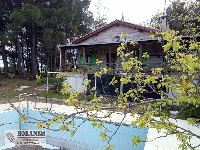 BORANEM--DOĞANCILARDA 3189M2 ZEYTİNLİK İÇİNDE MÜSTAKİL EV - Görsel 23