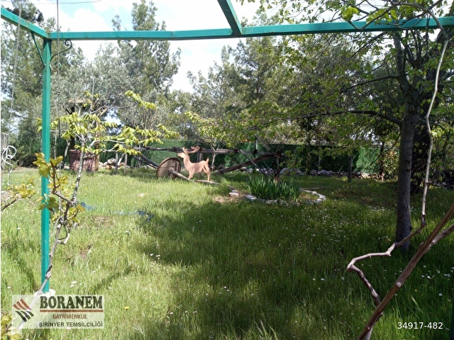 BORANEM--DOĞANCILARDA 3189M2 ZEYTİNLİK İÇİNDE MÜSTAKİL EV - Görsel 29