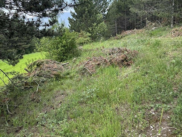 BOLU SARAYCIK KÖYÜ ORMAN İÇİ 2280m2 YOLU MEVCUT OKSiJEN DEPOSU - Görsel 3